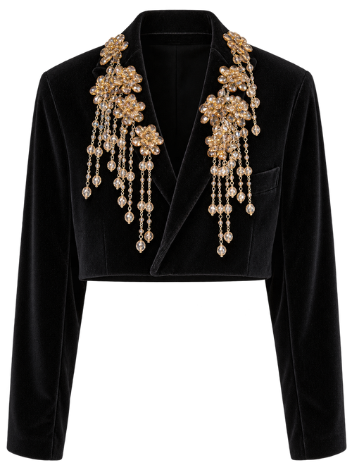 Beaded Velvet Crop Jacket